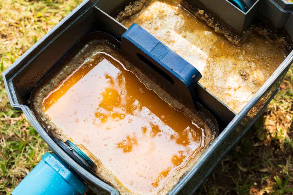 throwing away containers of grease /grease trap