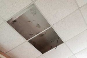 slab leak
